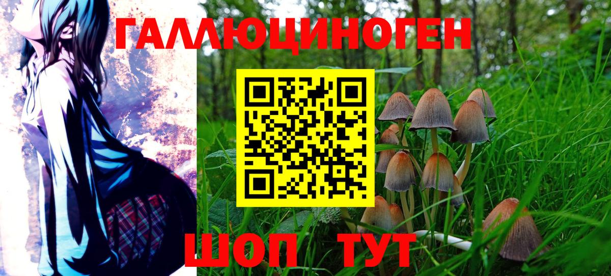 Чусовой  хочу наркоту  Галлюциногенные грибы Psilocybe  Вход с VPN  Галлюциногенные грибы Cubensis 